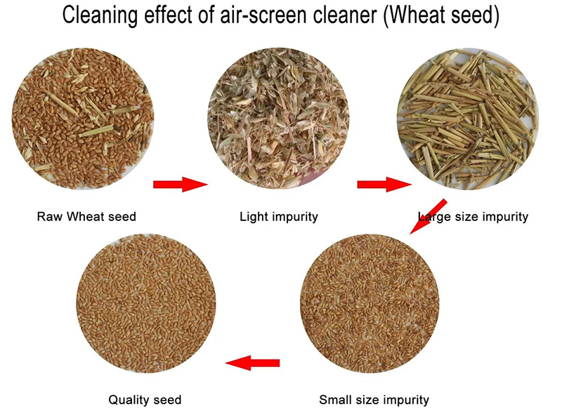 Whead Seed Air Screen Cleaner