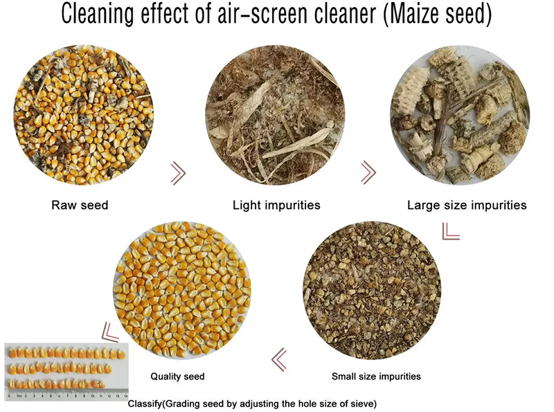 Maize Seed Air Screen Cleaner