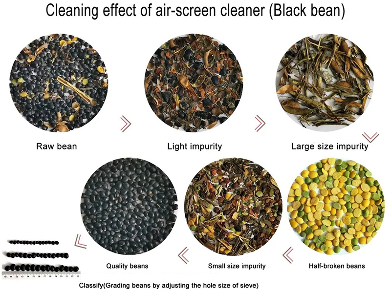 Black Bean Seed Cleaner Classifier