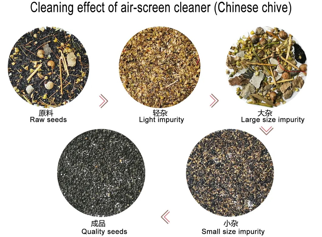 Mini-type Chinese Chive Seed Cleaner
