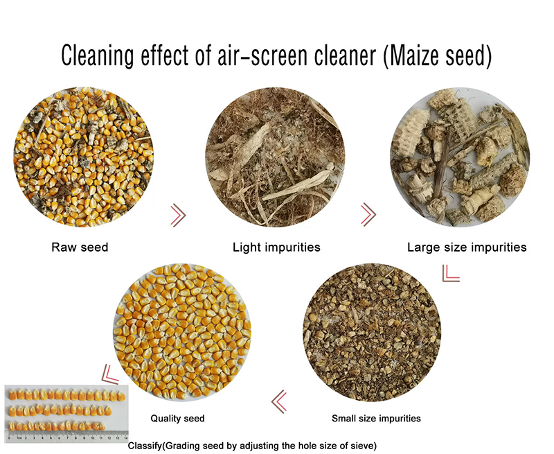 Maize Seed Combination Cleaner