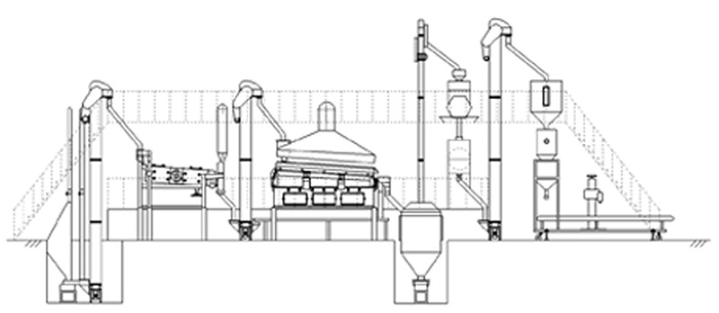 Seed Processing Line