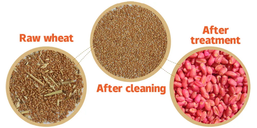 Small Type Wheat Seed Coating Machine