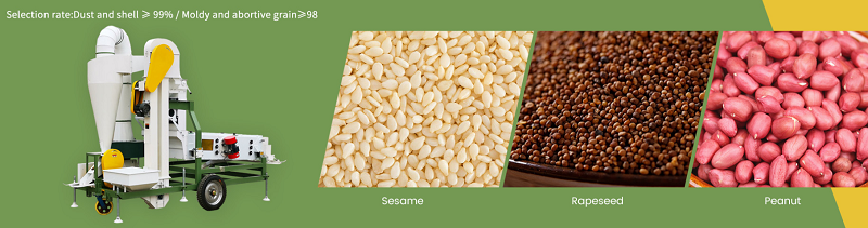 Grain Cleaning Plant Grain Cleaning Plant