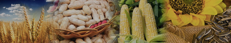 seed cleaning machines